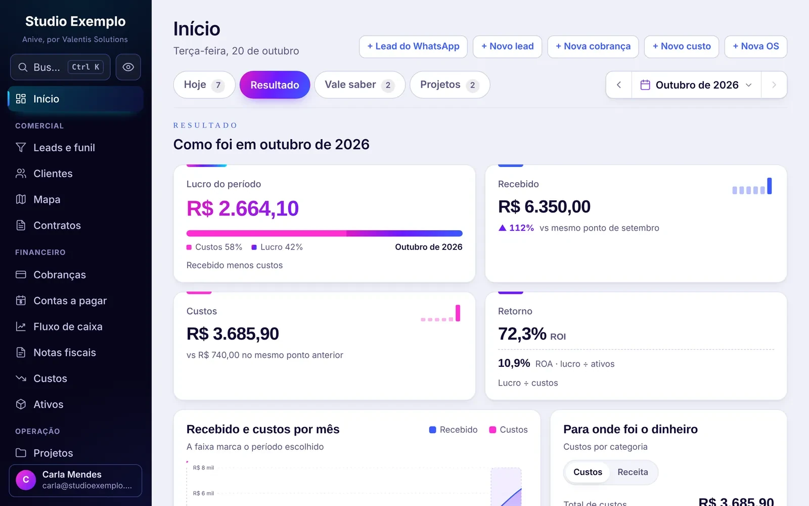 Início do Anive, aba Resultado: lucro do período, recebido, custos e retorno (ROI e ROA)